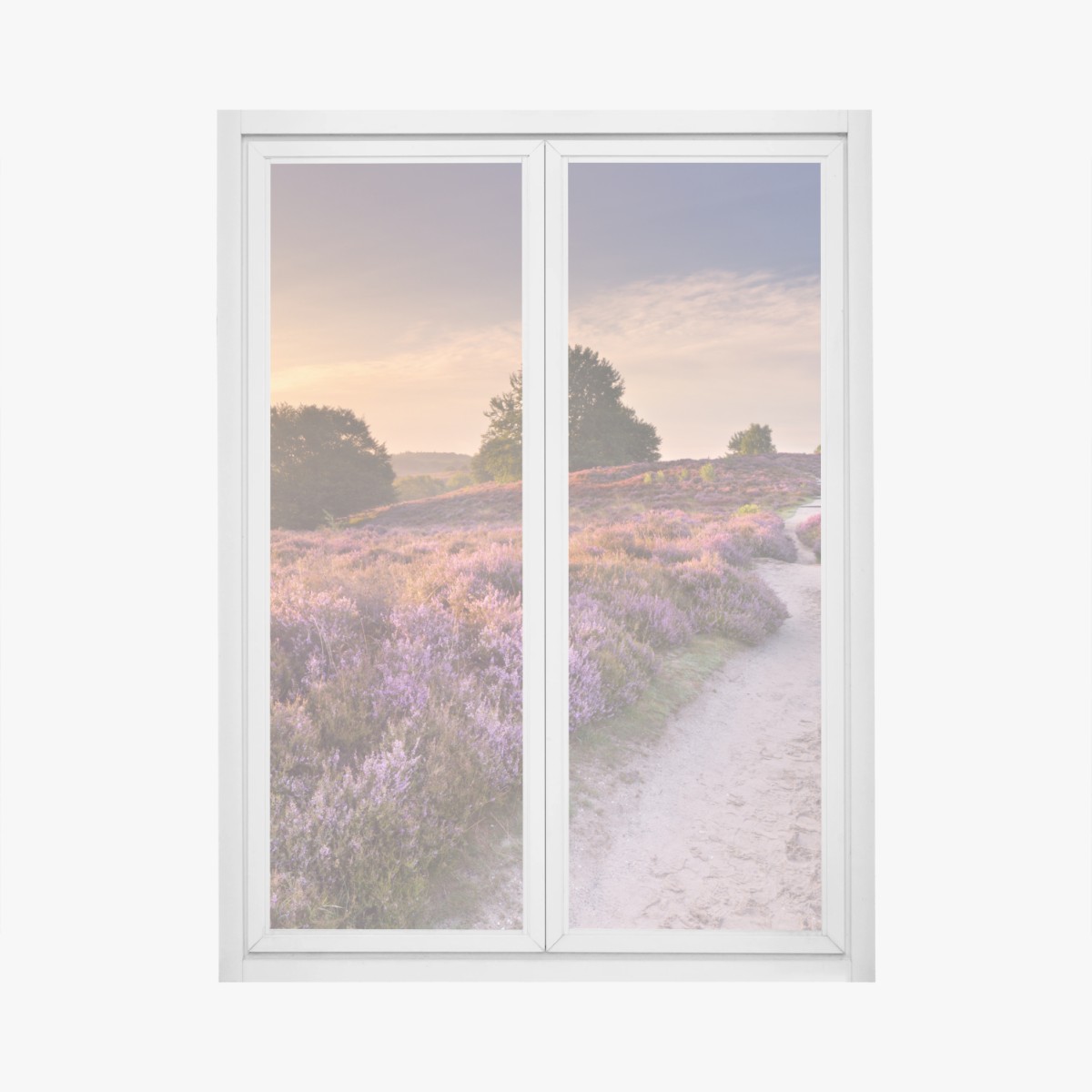Fensteraufkleber Posbank bei sonnenaufgang über blühender heide – Wallnifity®