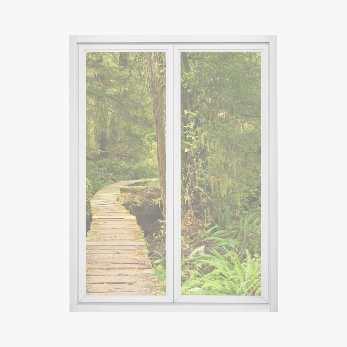 Fensteraufkleber steg im Pacific Rim regenwald – Wallnifity®