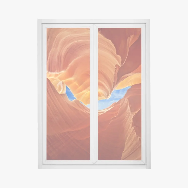 Wüste – Wallnifity®