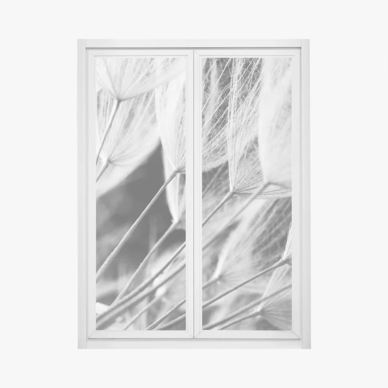 Minimalistisch – Wallnifity®