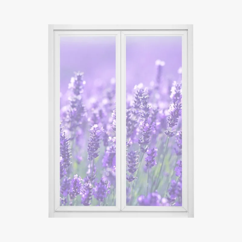 Fensteraufkleber lavendelfeld nahaufnahme