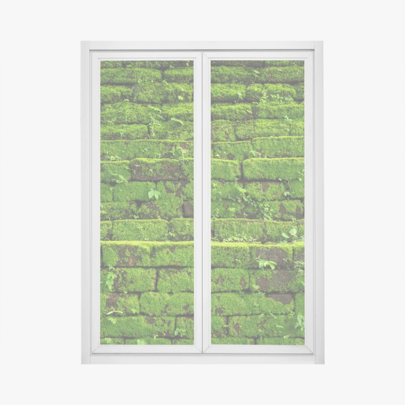 Oberflächen & Texturen – Wallnifity®