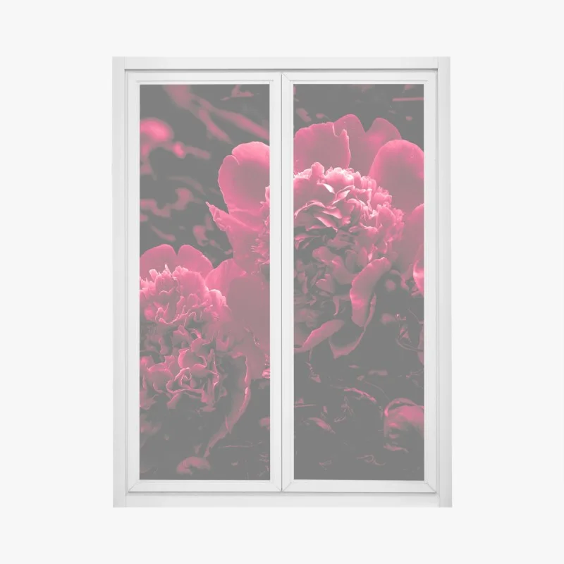 Fensteraufkleber stimmungsvolle rosa pfingstrosen