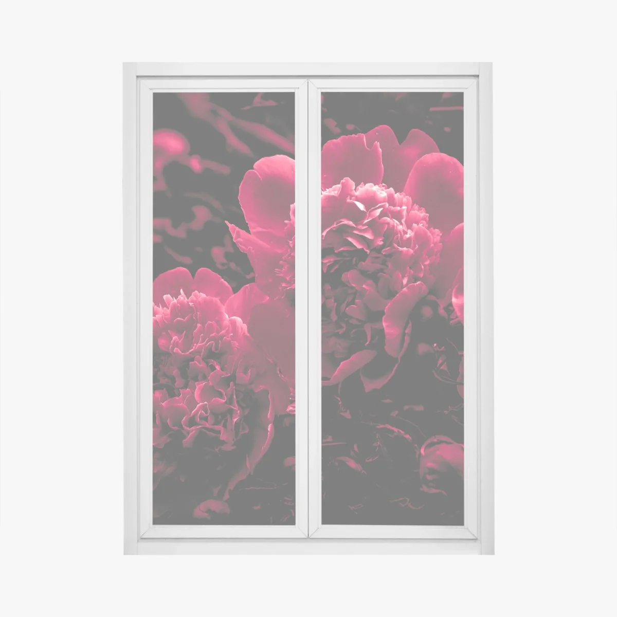 Fensteraufkleber stimmungsvolle rosa pfingstrosen – Wallnifity® Fensteraufkleber stimmungsvolle rosa pfingstrosen – Wallnifity®