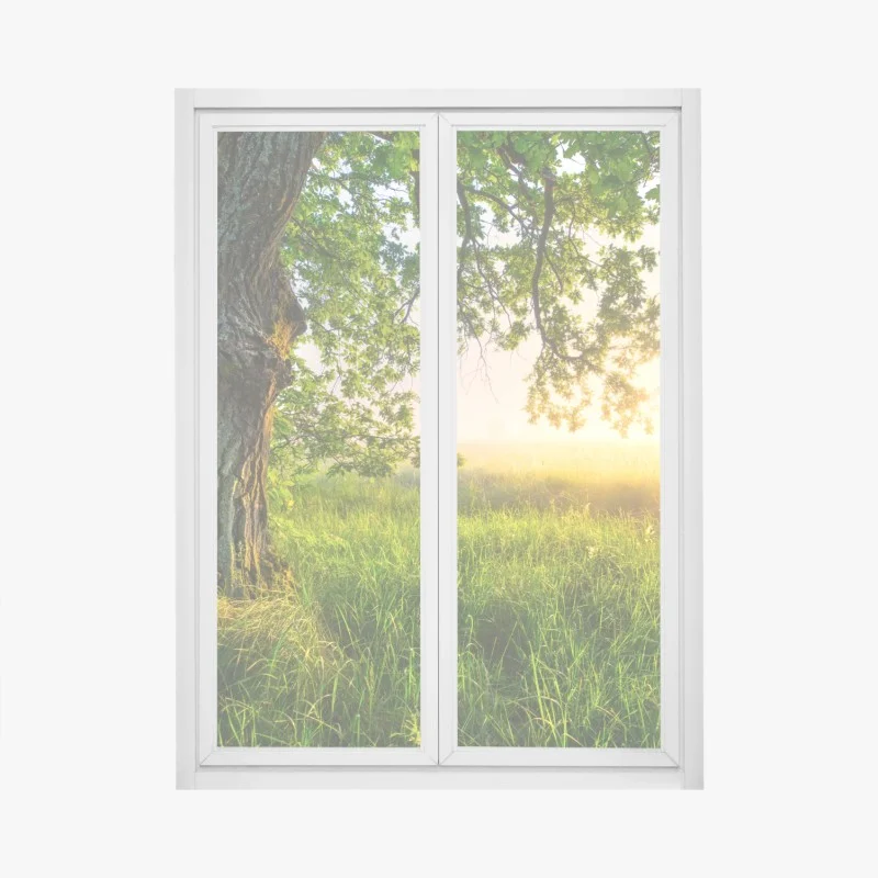 Fensteraufkleber morgendliche eiche auf sonnenbeschienener wiese