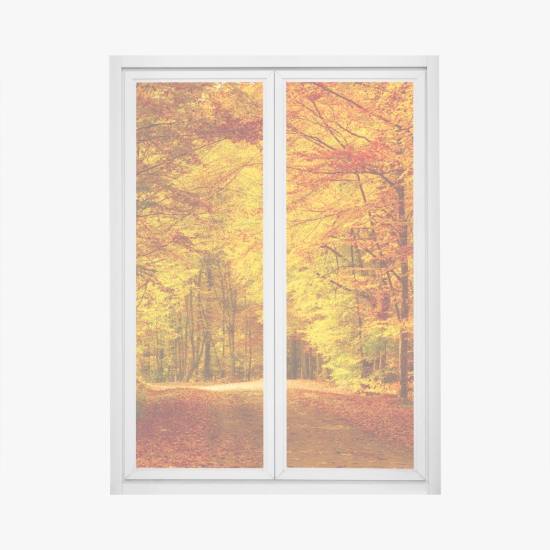 Biophil – Wallnifity®