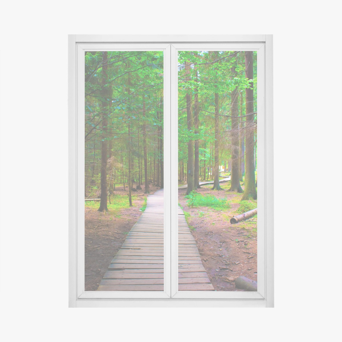 Fensteraufkleber ruhiger waldsteg im grünen – Wallnifity®