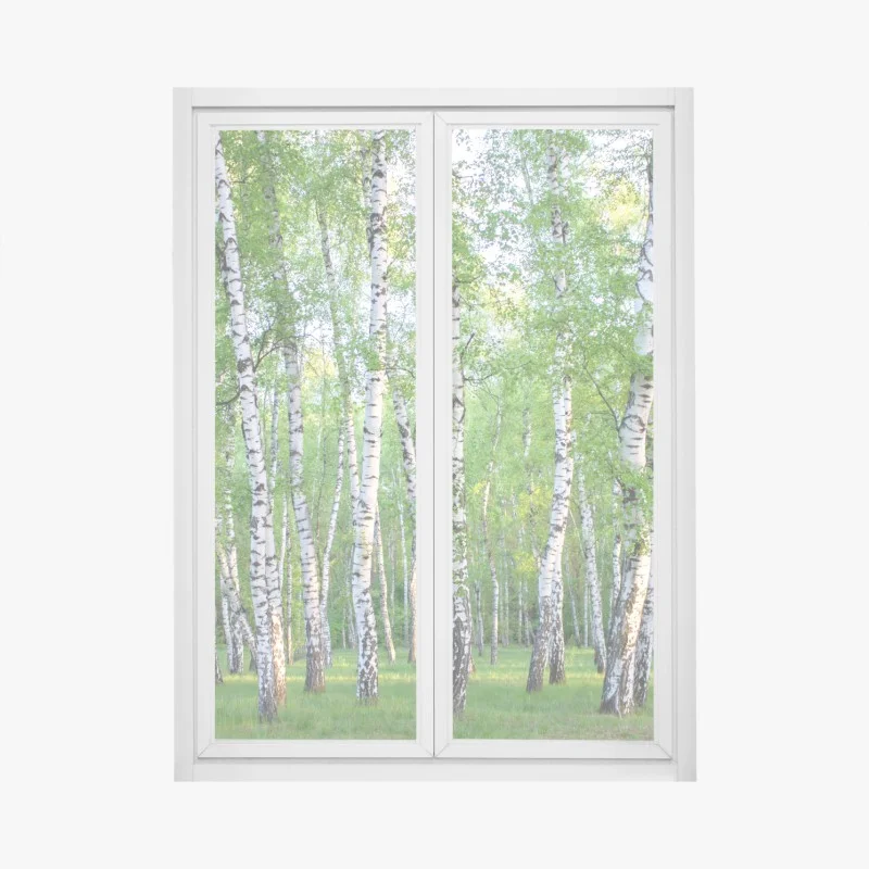 Fensteraufkleber ruhiger birkenhain im sommer