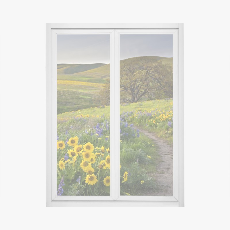 Aufkleber – Wallnifity®