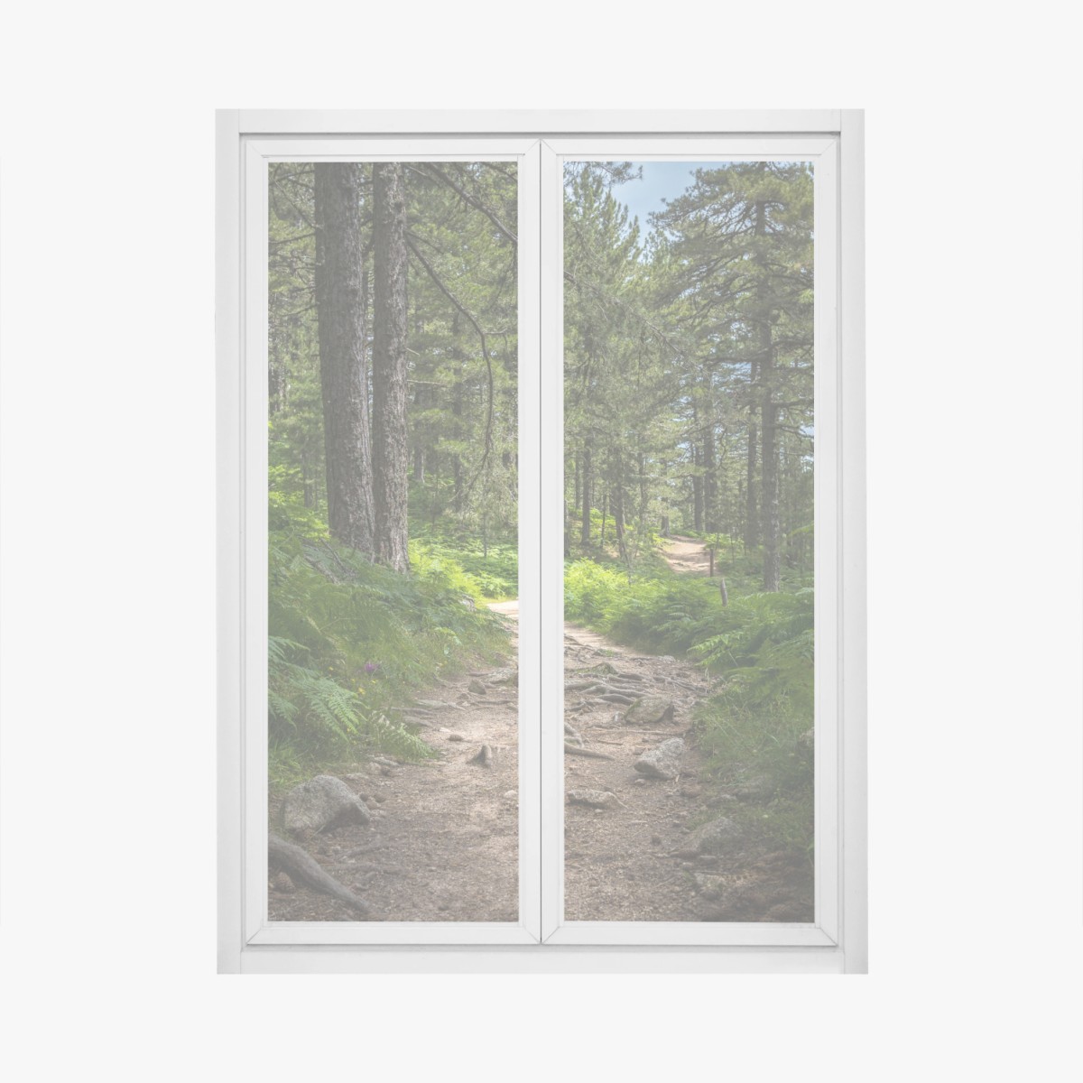 Fensteraufkleber ruhiger waldpfad durch üppiges grün – Wallnifity®