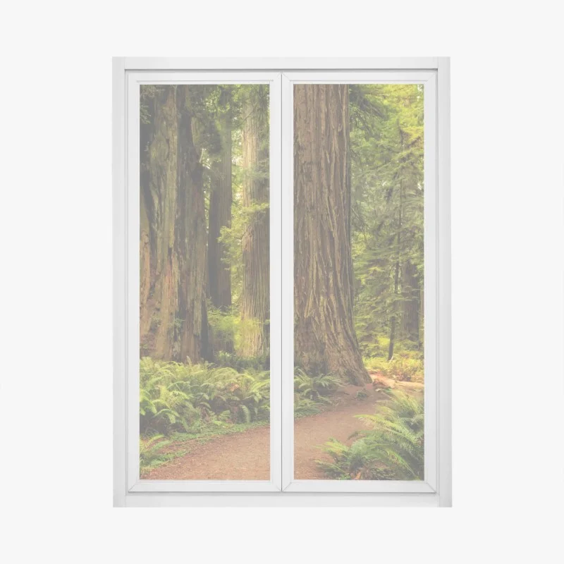 Wälder – Wallnifity®