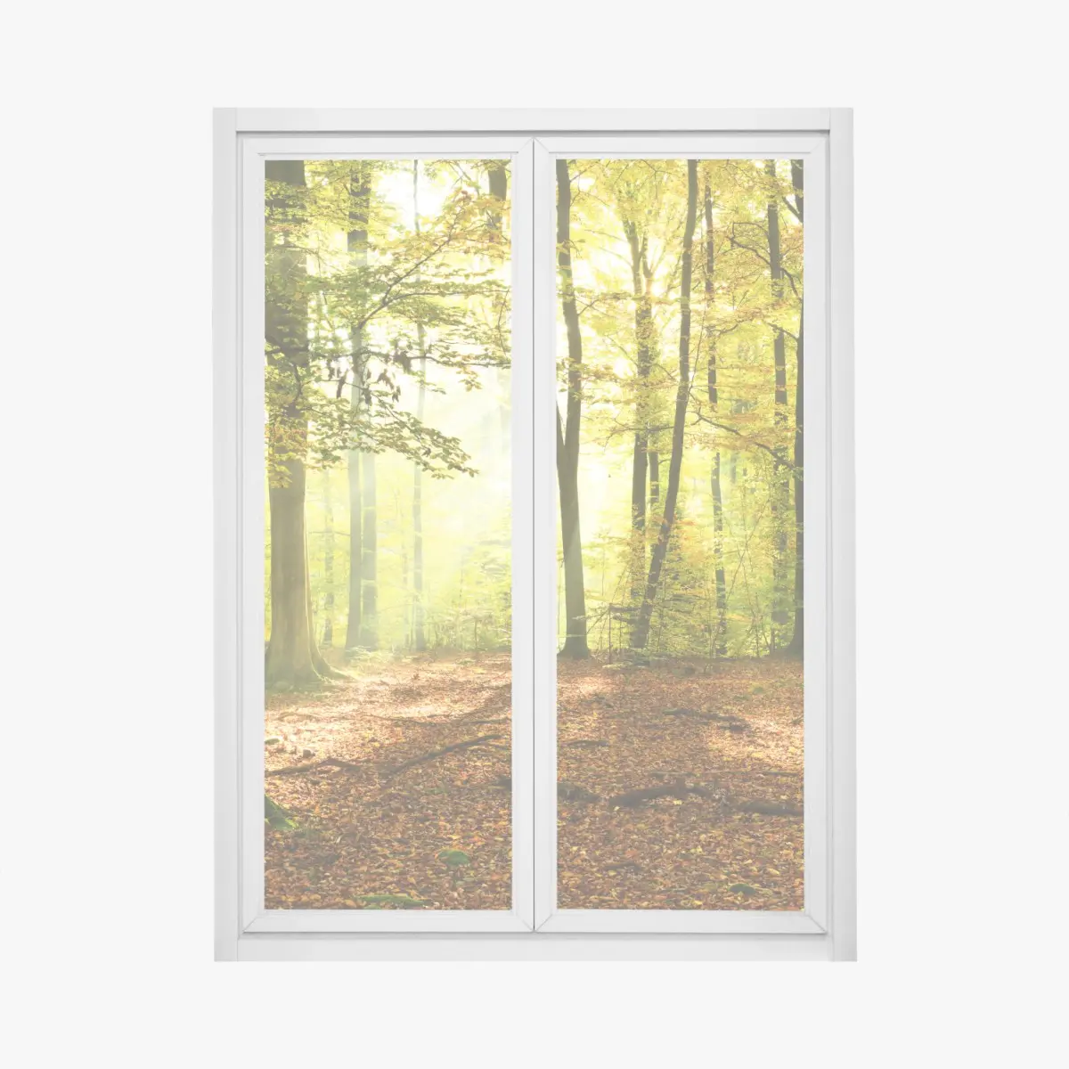 Fensteraufkleber goldener herbstwald am morgen – Wallnifity®