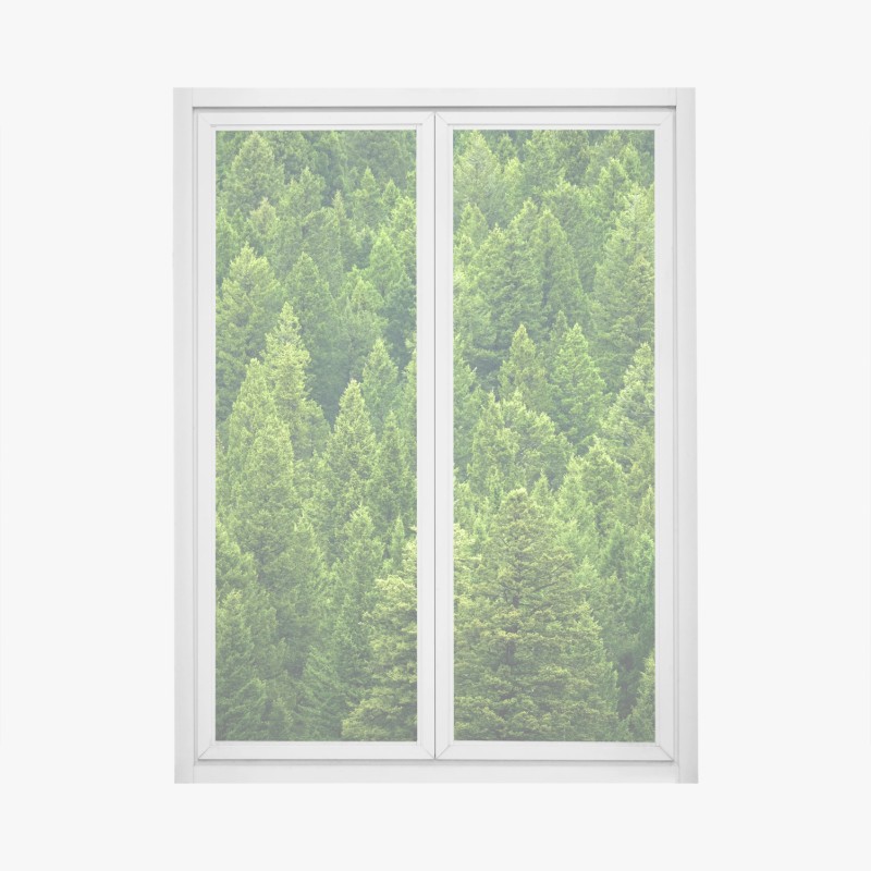 Modern – Wallnifity®