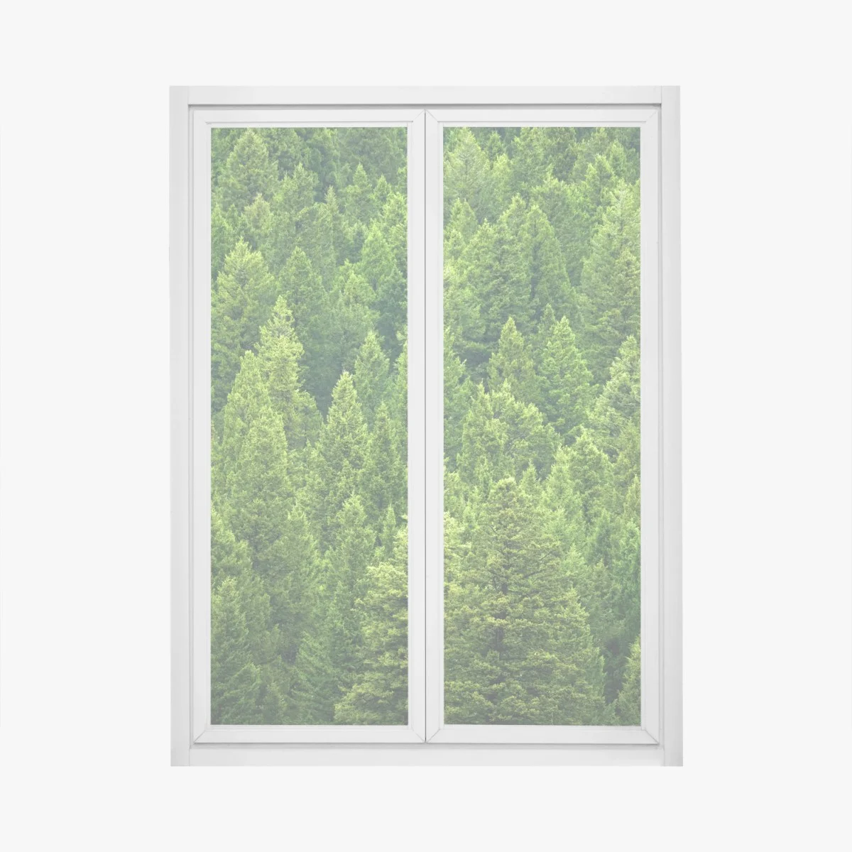 Fensteraufkleber üppige kronen eines kieferwaldes – Wallnifity® Fensteraufkleber üppige kronen eines kieferwaldes – Wallnifity®