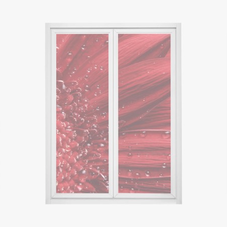Fensteraufkleber rote gerbera makro mit wassertropfen – Wallnifity®