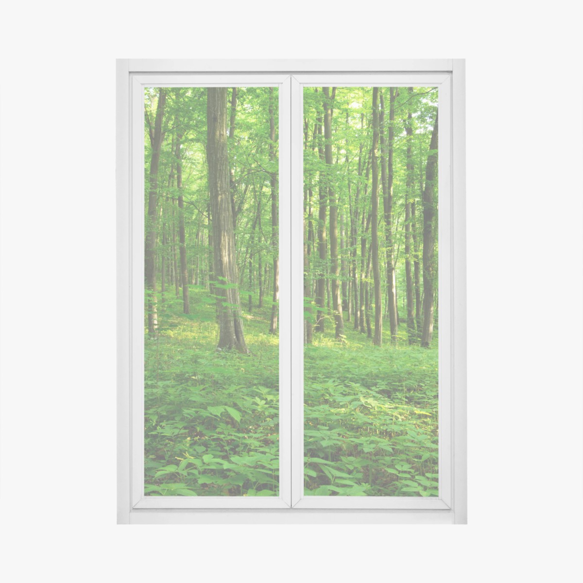 Fensteraufkleber sonniger grüner wald im frühling – Wallnifity®