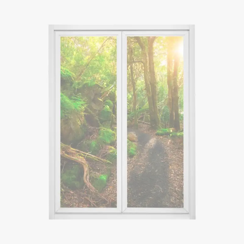 Dschungel – Wallnifity®