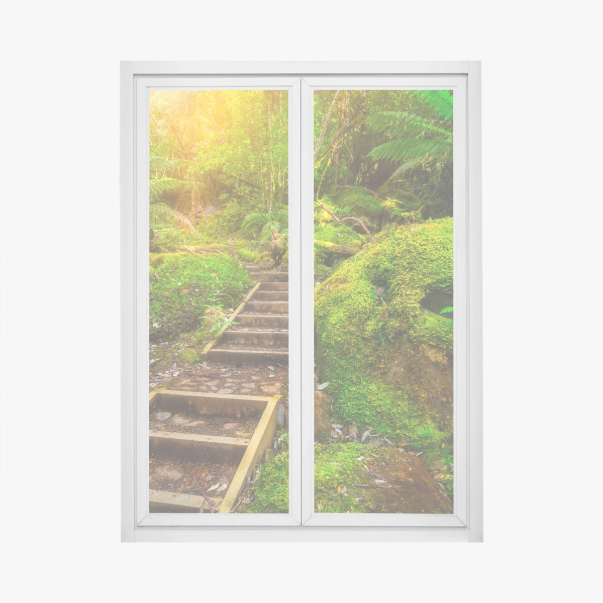 Fensteraufkleber moosiger regenwaldpfad auf der Tasman-Halbinsel – Wallnifity®