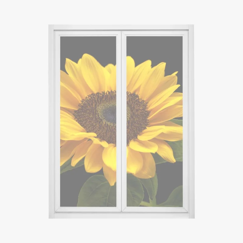 Fensteraufkleber leuchtende sonnenblume auf schwarzem hintergrund