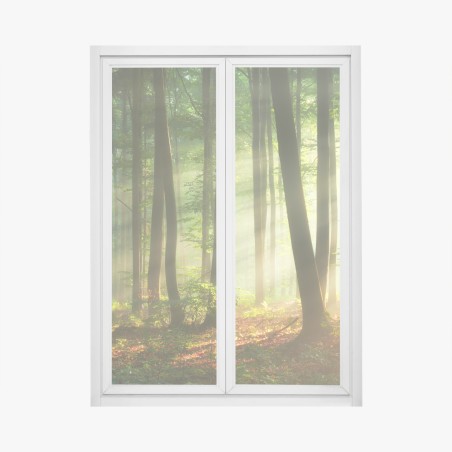 Fensteraufkleber sonnenbeschienener morgenwald – Wallnifity®