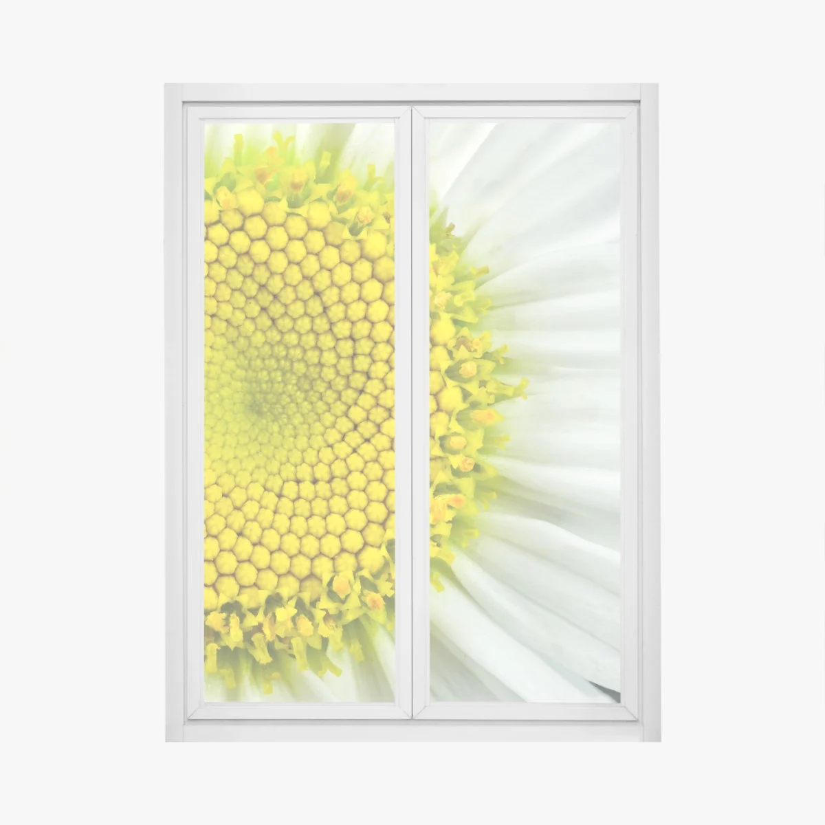 Fensteraufkleber makro gänseblümchen spiralmuster – Wallnifity® Fensteraufkleber makro gänseblümchen spiralmuster – Wallnifity®