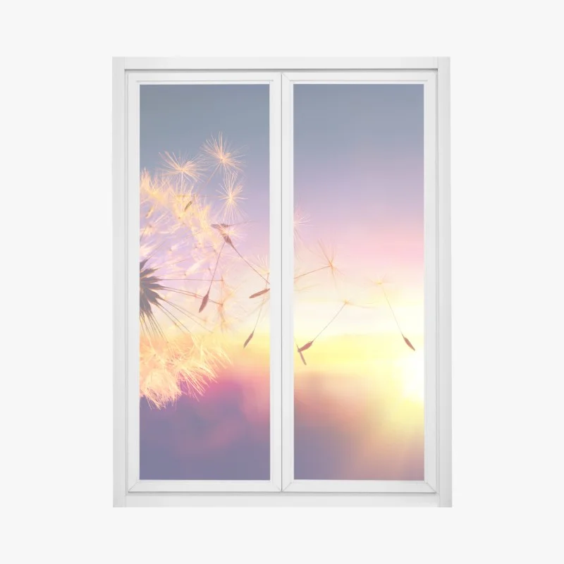 Wiesen – Wallnifity®