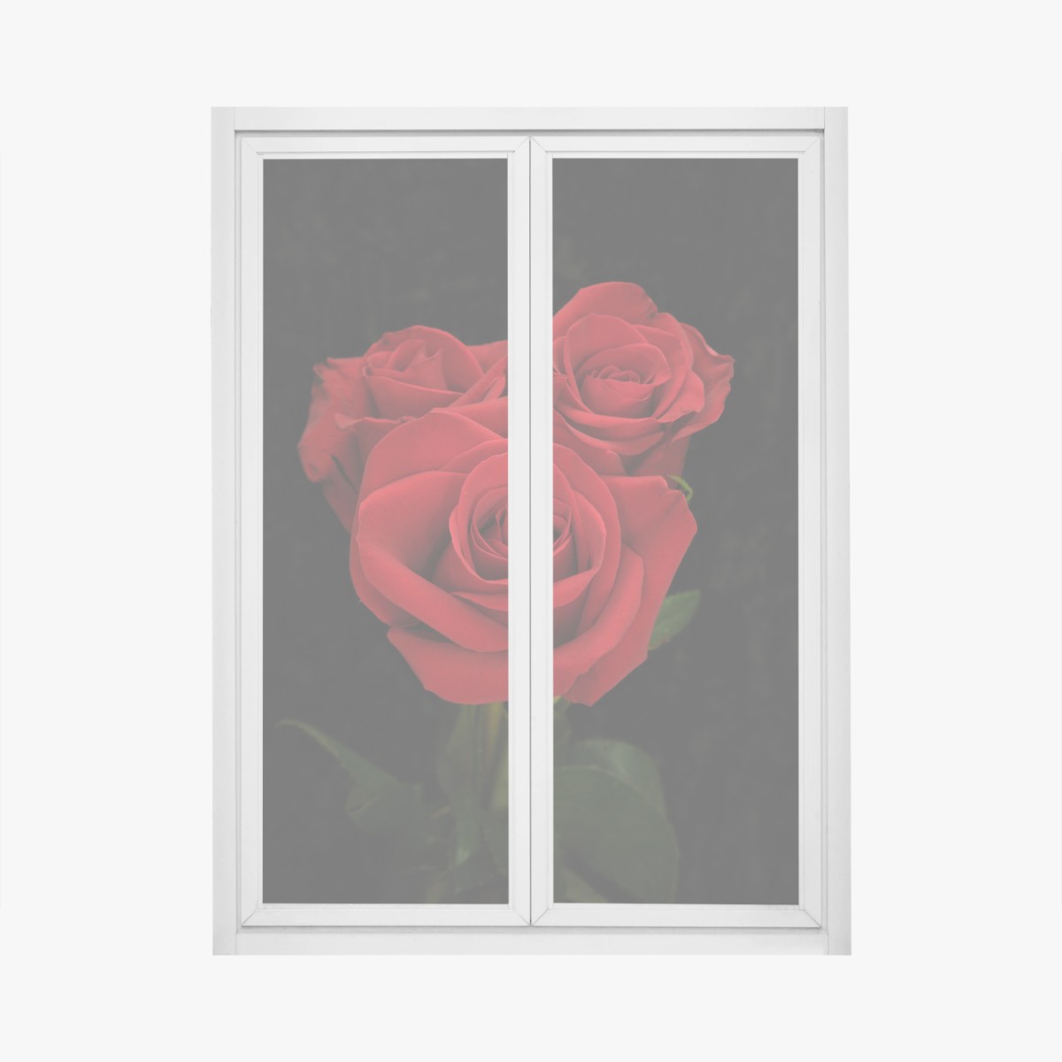 Fensteraufkleber rote rosen vor schwarzem hintergrund – Wallnifity®