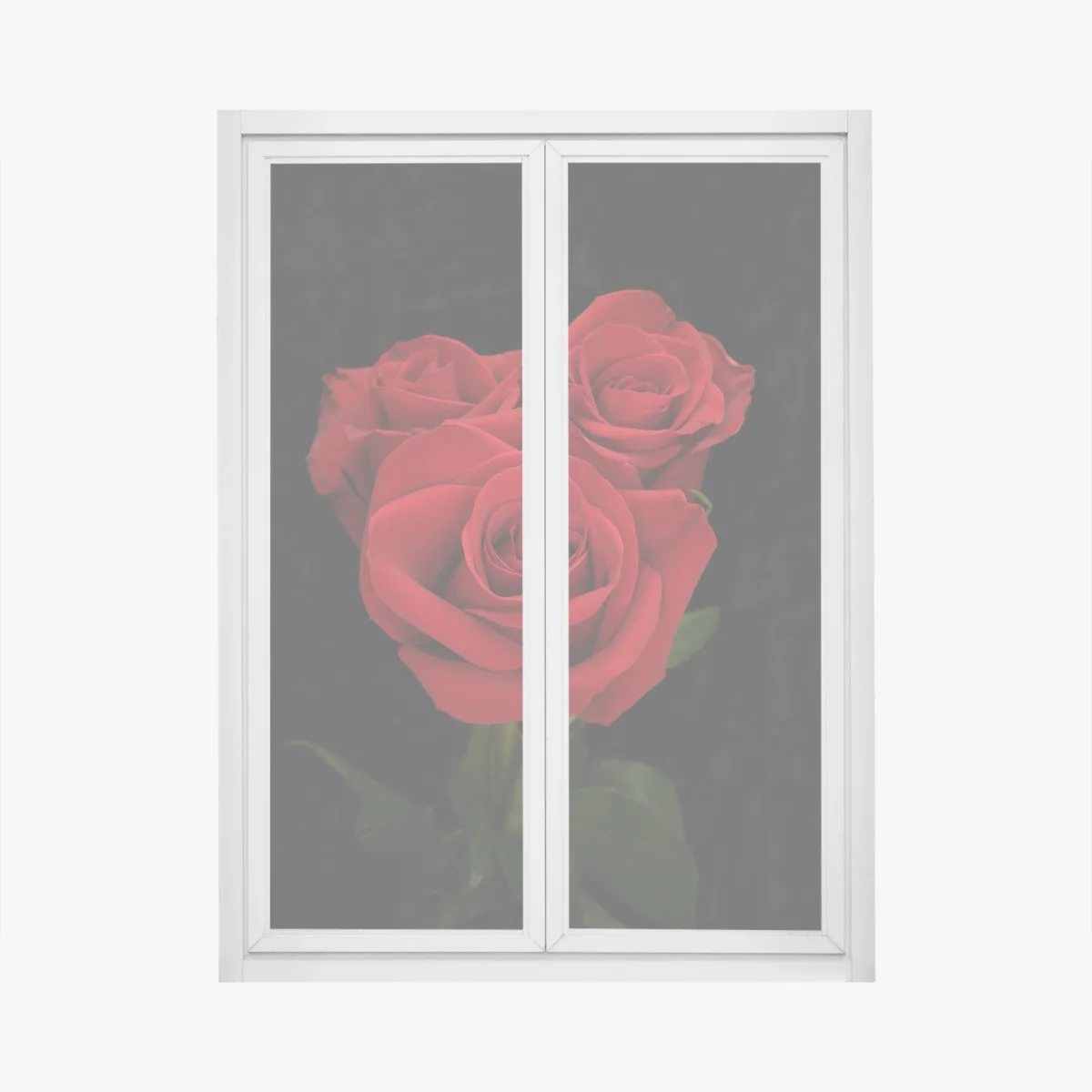 Fensteraufkleber rote rosen vor schwarzem hintergrund – Wallnifity® Fensteraufkleber rote rosen vor schwarzem hintergrund – Wallnifity®