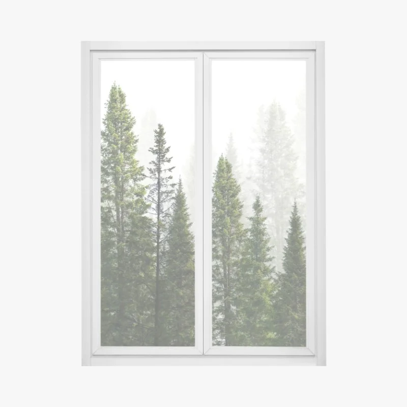 Bäume – Wallnifity®