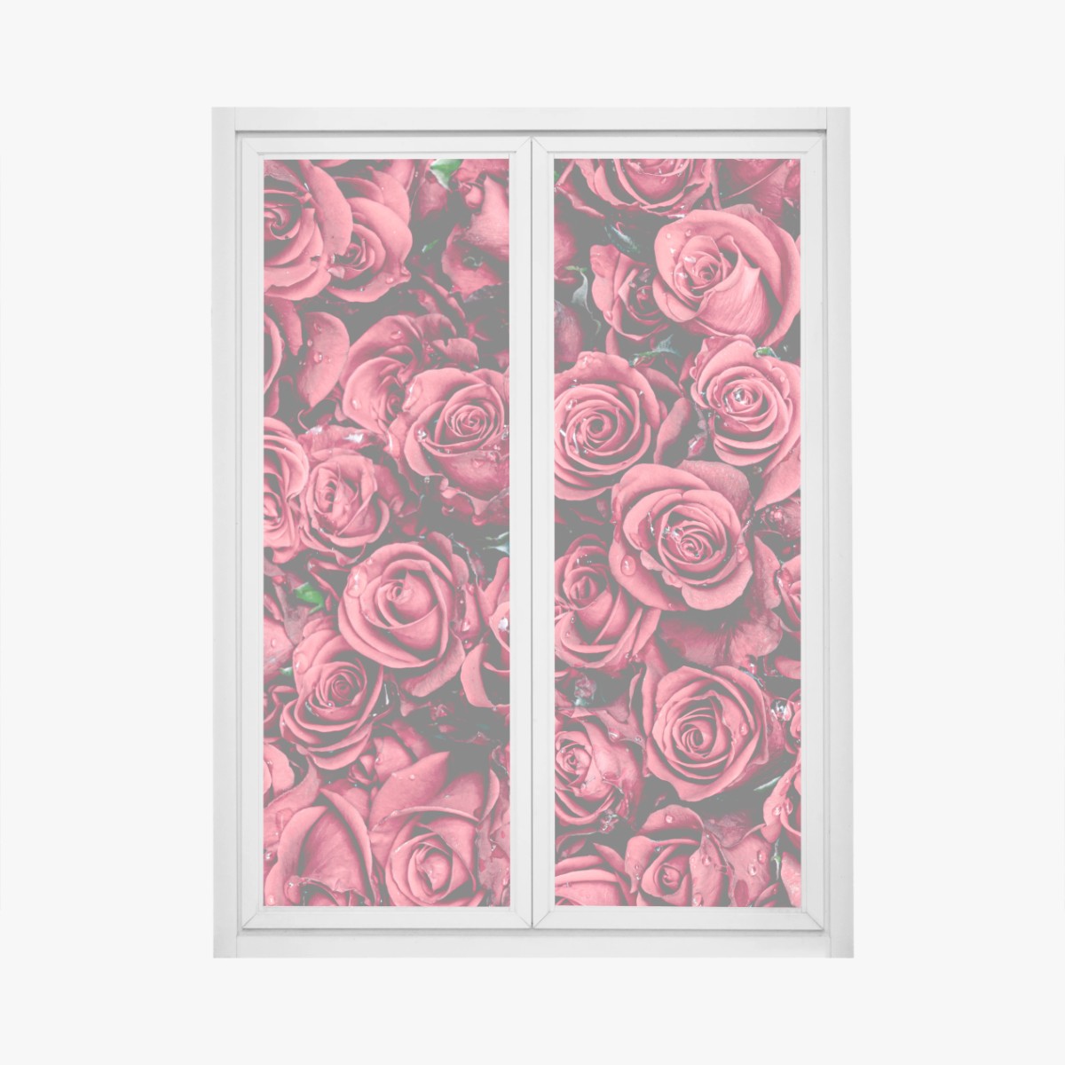 Fensteraufkleber pralle rote rosen wandbild – Wallnifity®