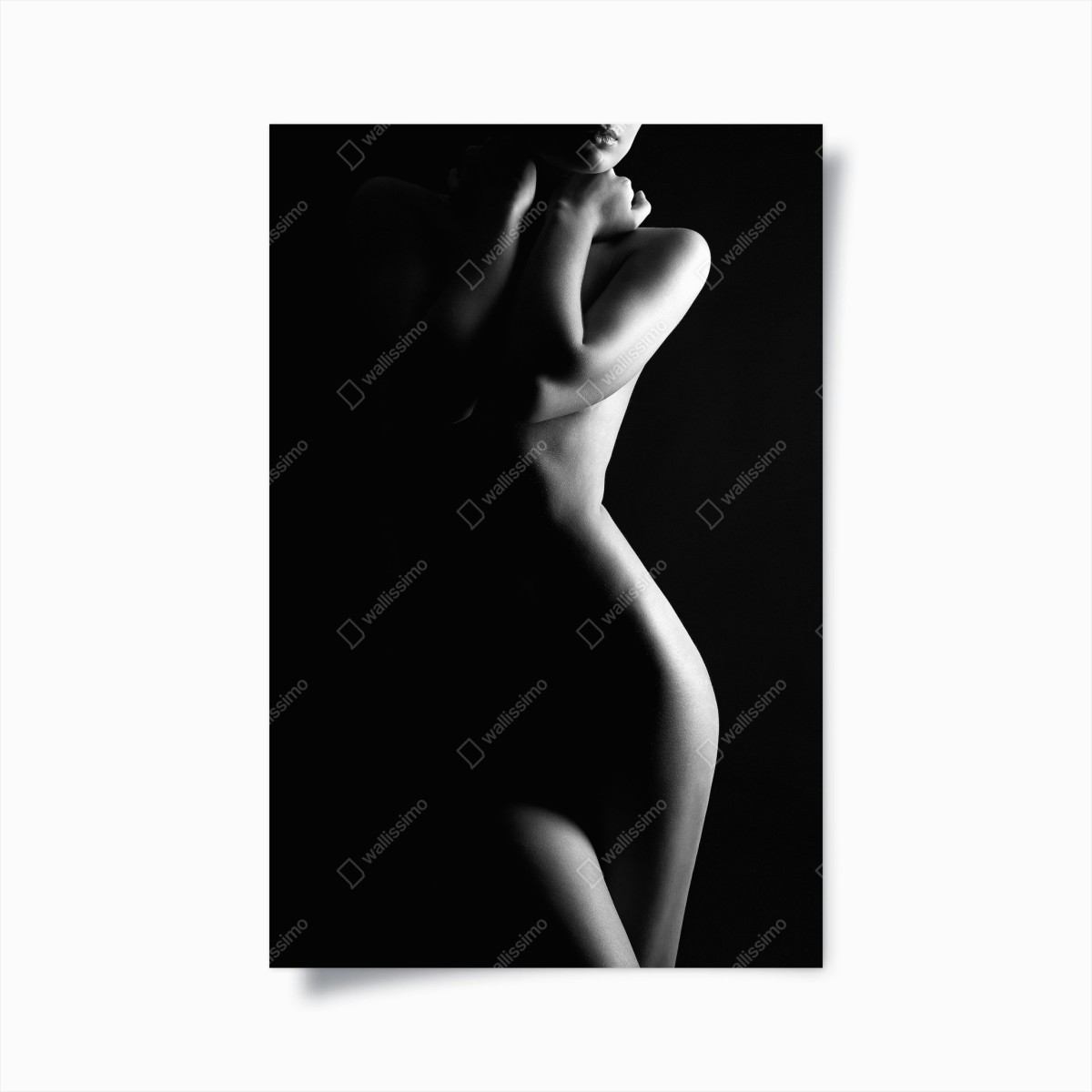 Poster sinnliche silhouette weiblicher form – Wallnifity®