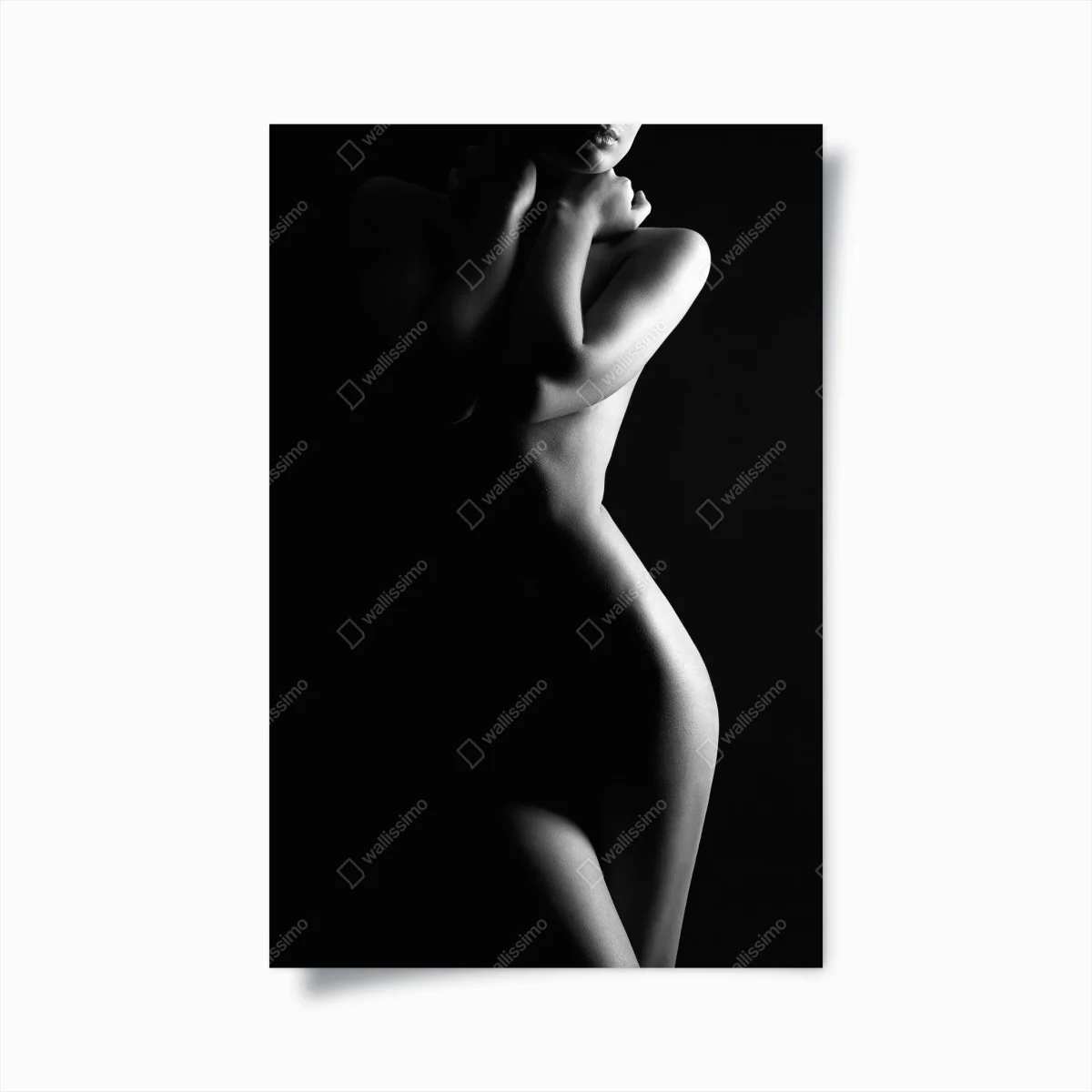 Poster sinnliche silhouette weiblicher form – Wallnifity® Poster sinnliche silhouette weiblicher form – Wallnifity®
