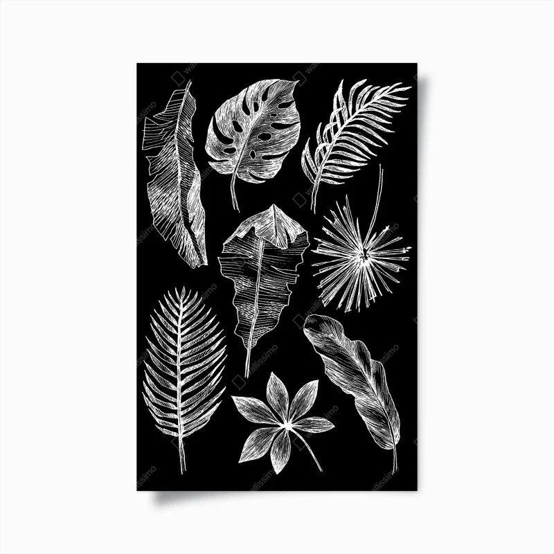 Poster monochrome blattkomposition