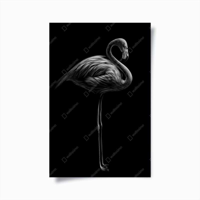 Tiere – Wallnifity®