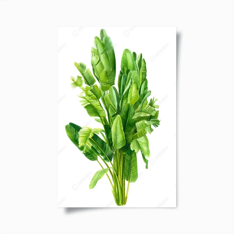 Poster tropische bananenblätter in aquarell