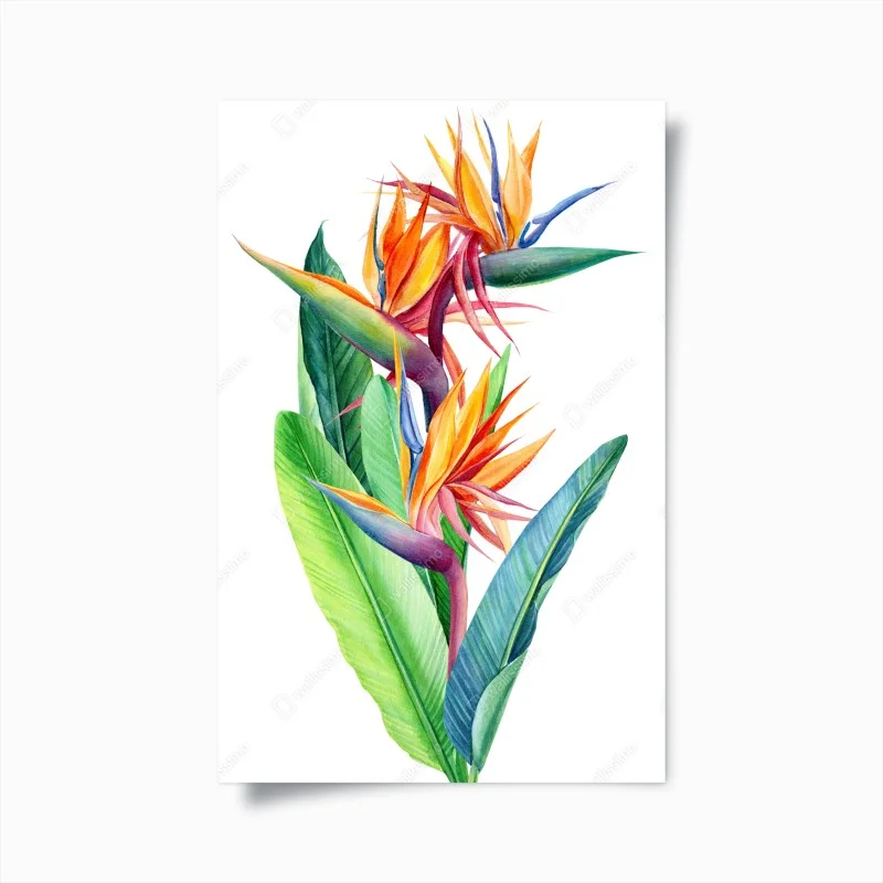 Blumen – Wallnifity®