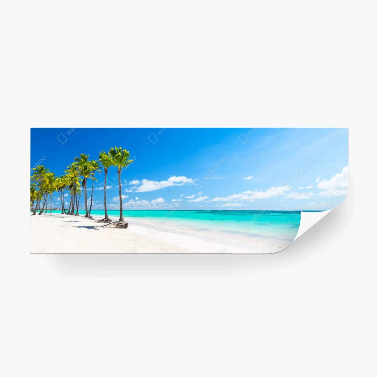 Fototapete tropisches strandpanorama in Punta Cana – Wallnifity®