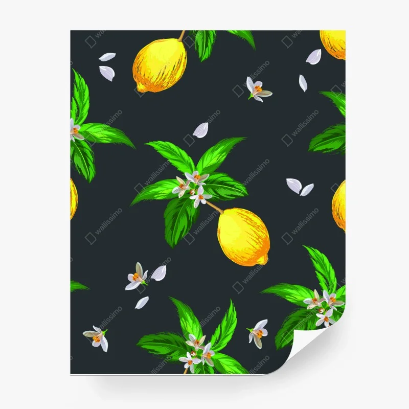 Obst & Gemüse – Wallnifity®