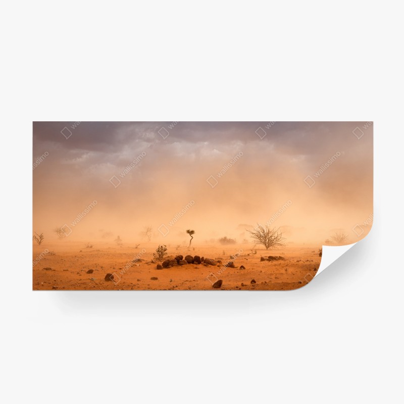 Fototapeten – Wallnifity®