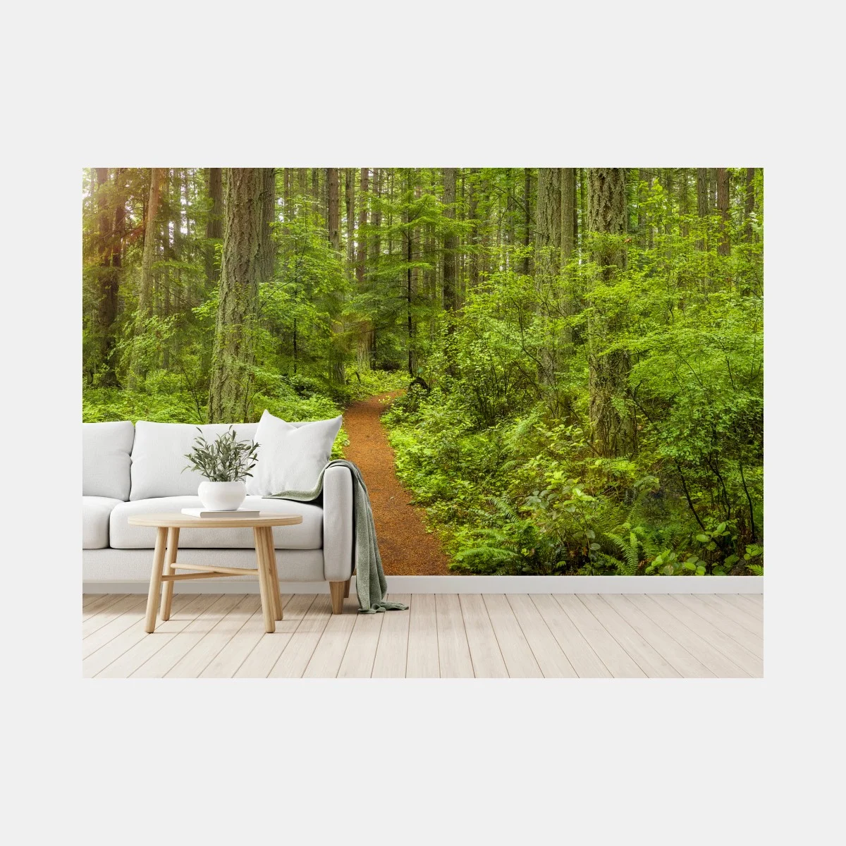 Fototapete friedlicher waldpfad – Wallnifity® Fototapete friedlicher waldpfad – Wallnifity®