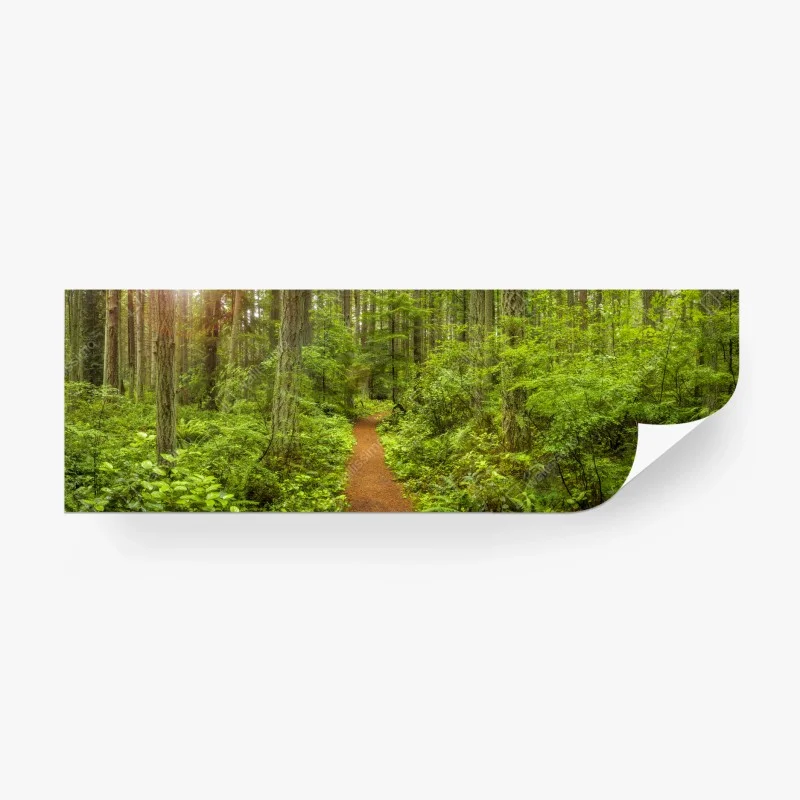 Wälder – Wallnifity®