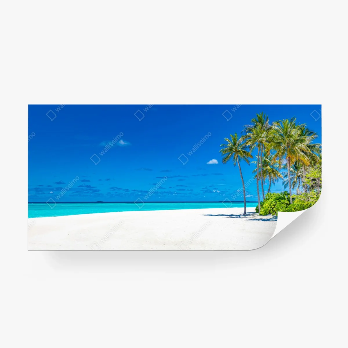 Fototapete tropischer türkisstrand – Wallnifity®