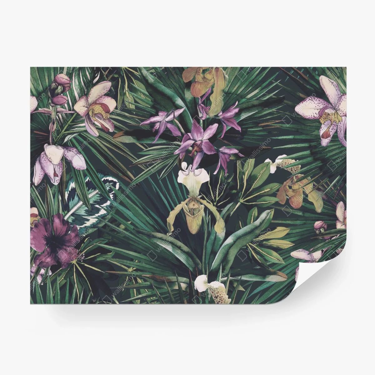 Fototapete tropische orchideen in aquarell und palmblättern – Wallnifity®