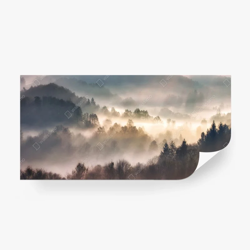 Wälder – Wallnifity®