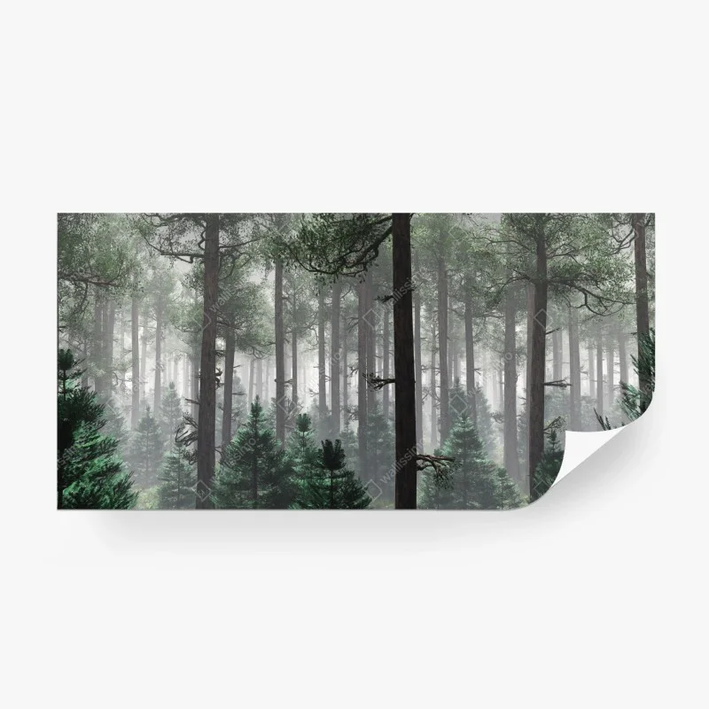 Wälder – Wallnifity®
