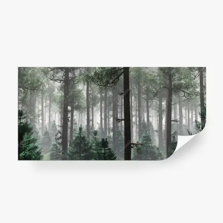Fototapete nebliger immergrüner wald – Wallnifity®