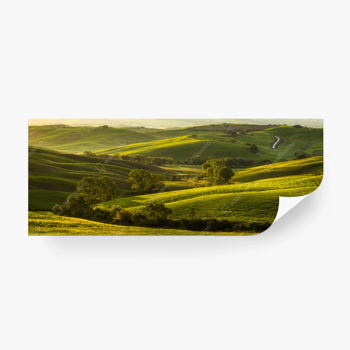 Fototapete sonnenbeschienene grüne hügel – Wallnifity®