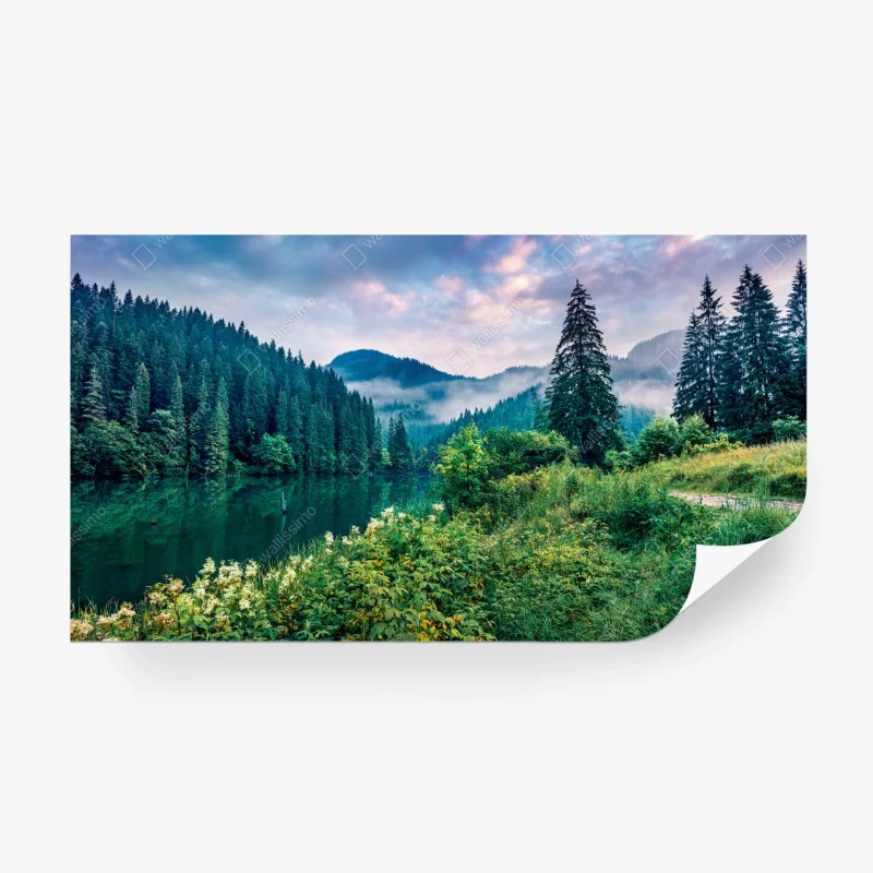 Natur – Wallnifity®