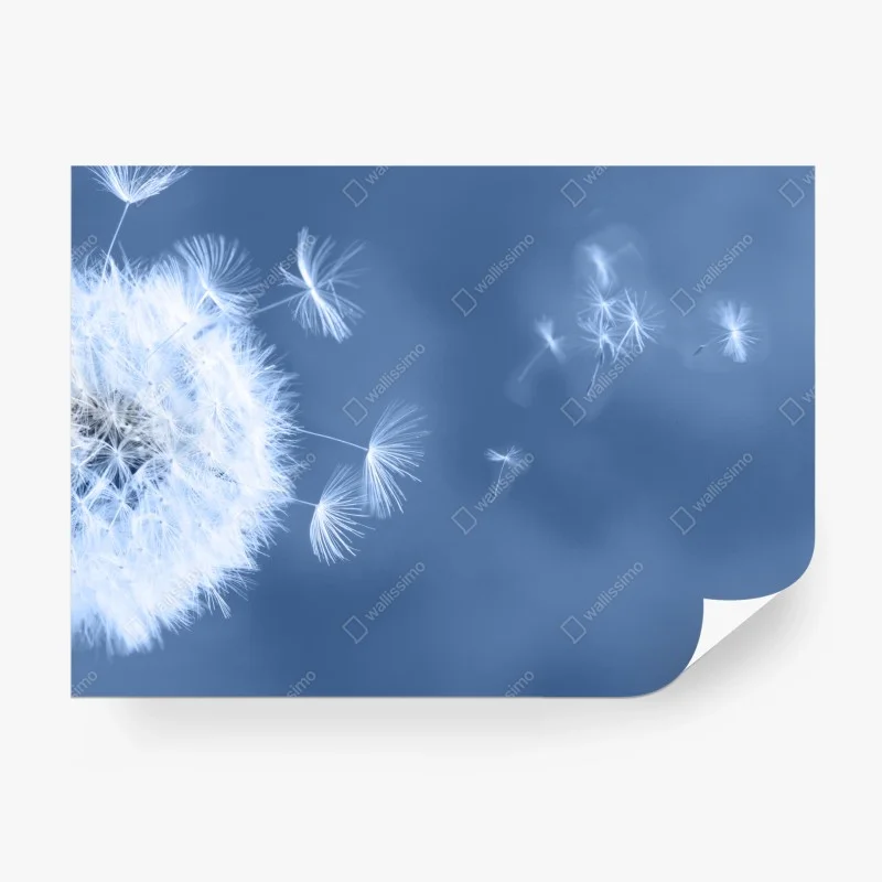 Schlafzimmer – Wallnifity®