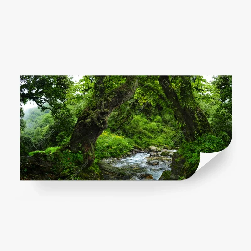 Natur – Wallnifity®